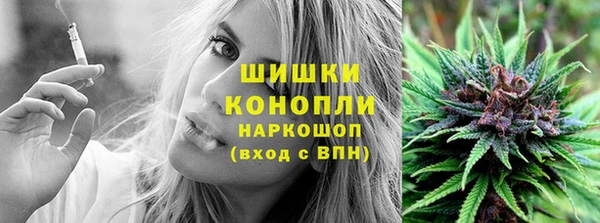 стафф Майский