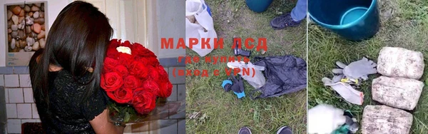 a pvp Магас