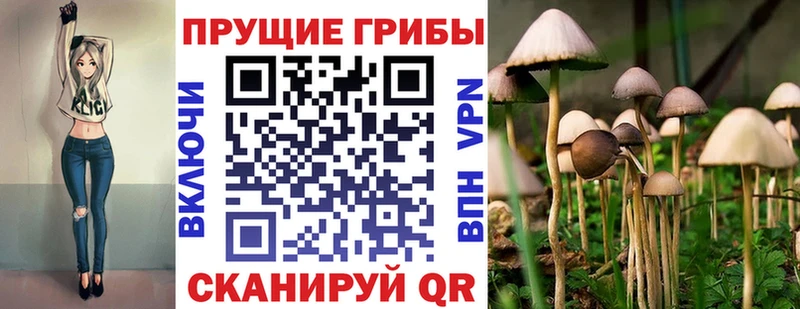 Псилоцибиновые грибы Magic Shrooms  Томари 